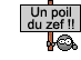zef :zef: